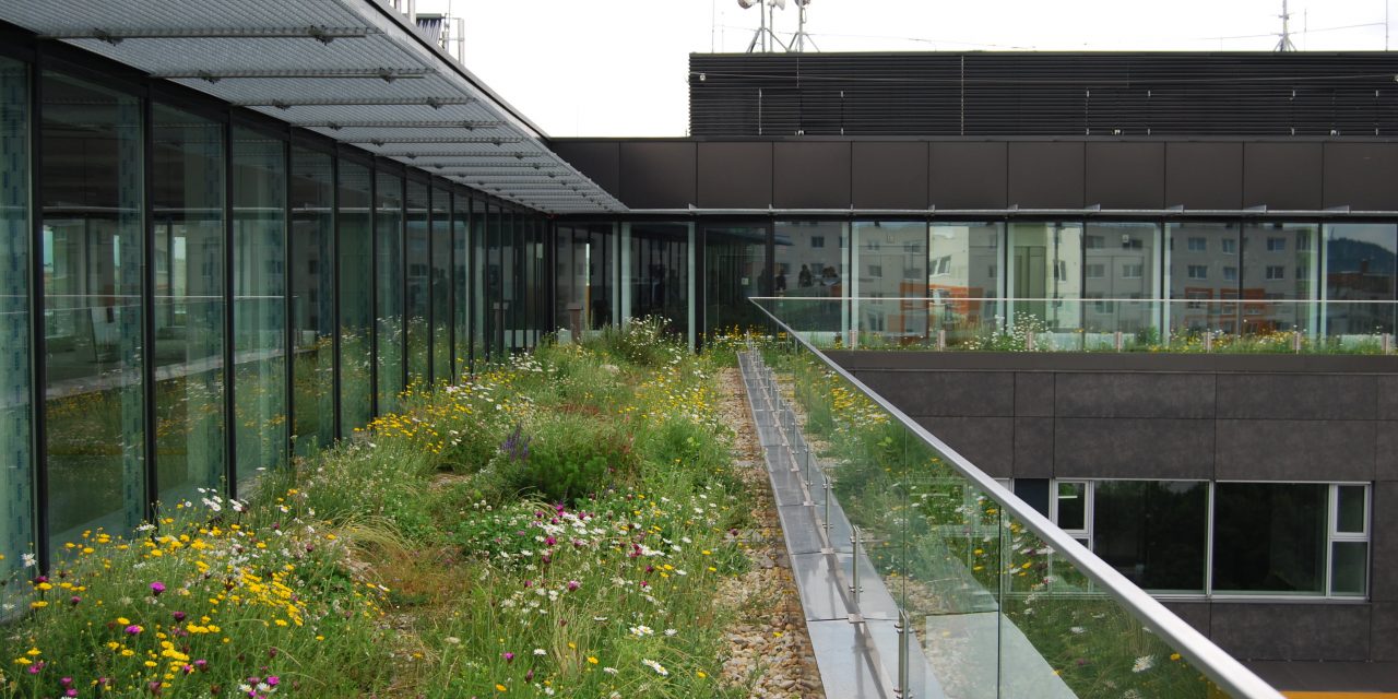 Zöldtető- és Zöldfal Építők Országos Szövetsége