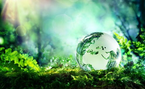 Gonczlik Andrea: Az élő természet adományai