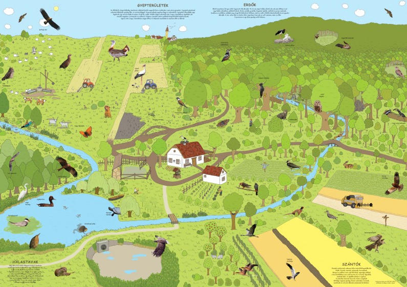 Madárbarát gazdálkodás – gyepen, erdőn, halastavon, szántón