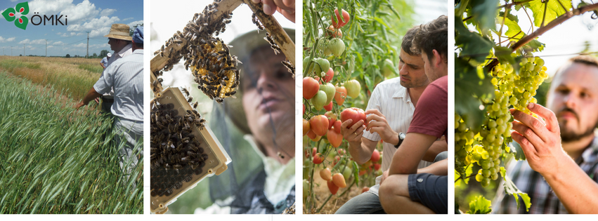 Ökológiai Mezőgazdasági Kutatóintézet