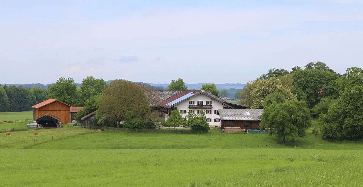 Gabonatermesztés pár száz négyzetméteren – kézi/lovas megoldások (SZÖSZ)
