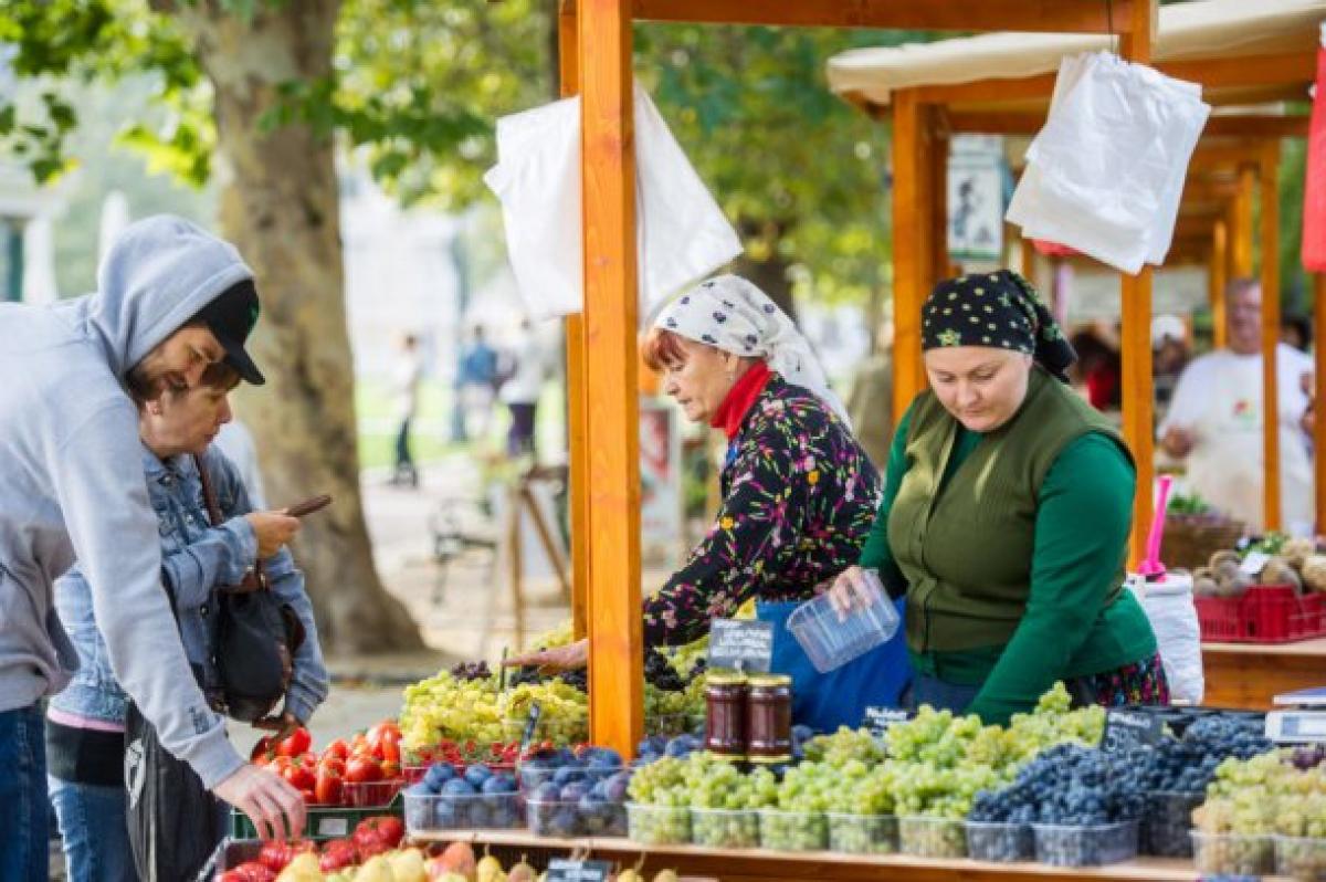 Nemzeti Agrárgazdasági Kamara termelői piac kereső