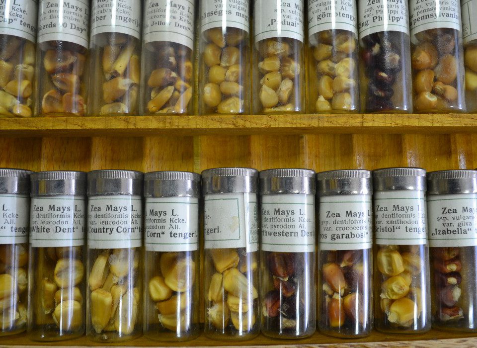 Nemzeti Biodiverzitás- és Génmegőrzési Központ