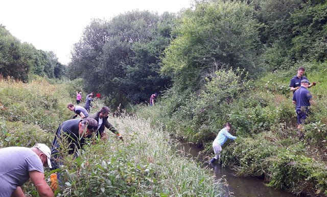 Szorítsuk vissza az idegenhonos özönfajokat!