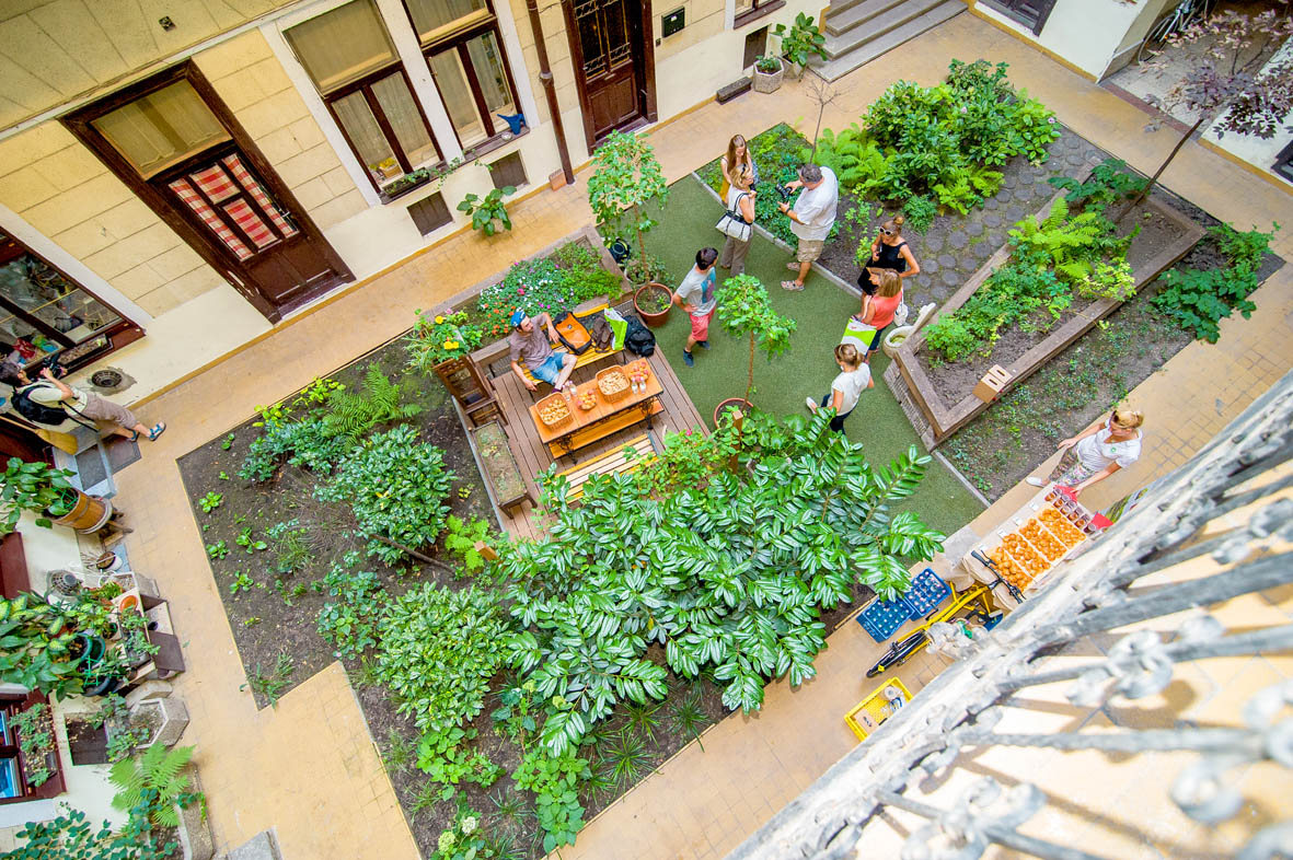 Zöldítsük a kopár belső udvarokat és házfalakat!