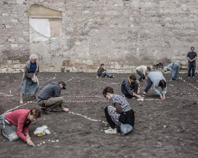 Hozzunk létre közösségi kertet!