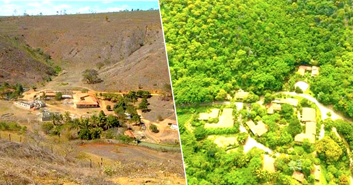 Állítsunk vissza élőhelyeket természetközeli formájukba!