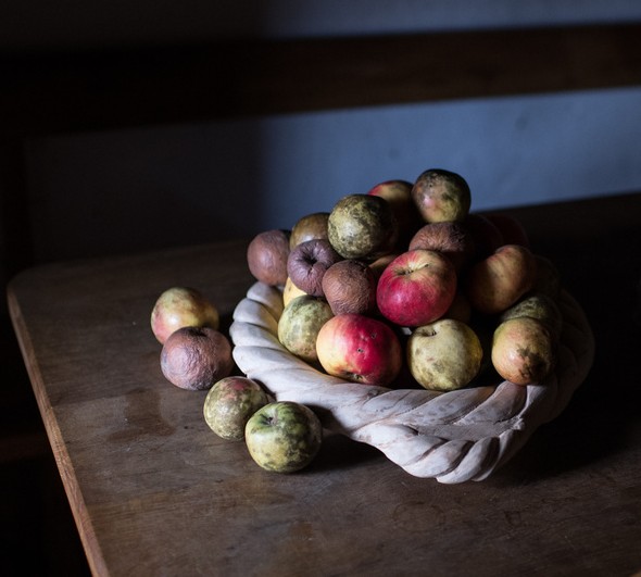 Hozzunk létre „tündérkertet” gyümölcs-tájfajták megmentésére és terjesztésére!