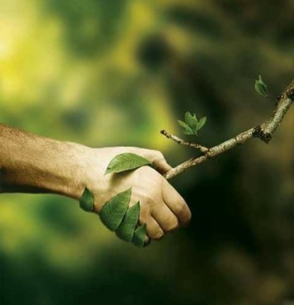 Alkossunk ökofalvat!