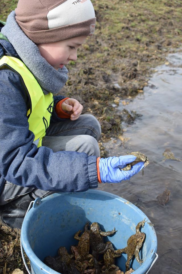 Kapcsoljuk újra össze a valaha egybefüggő élőhelyeket!