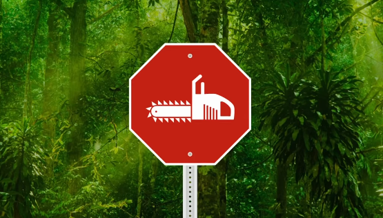 Akadályozzuk meg a települések, utak, ipari területek indokolatlan terjeszkedését!