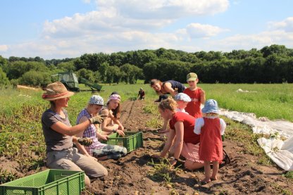 Hozzunk létre helyiek által támogatott mezőgazdasági rendszert!