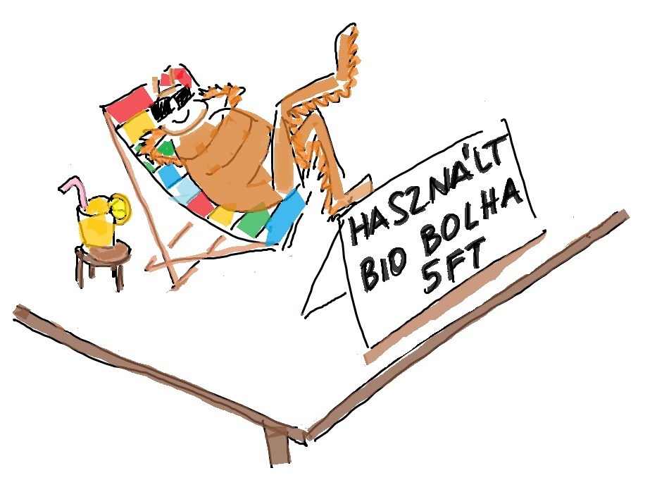 Szervezzünk bolhapiacot!