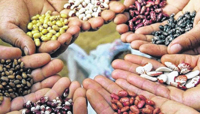 Szervezzünk magbörzét!