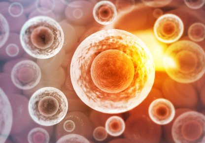 Ki lehet próbálni kicsiben a közösségalkotást?