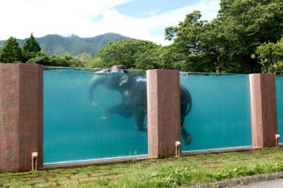 Üvegfalu program Pázmándon