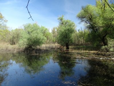 Tartsuk meg a vizet a tájban természetközeli megoldásokkal, helyes gazdálkodással!